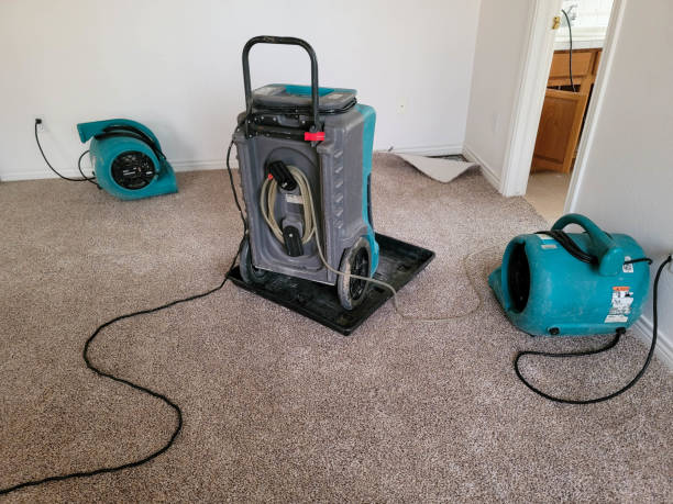 Best Basement water damage restoration  in North Browning, MT