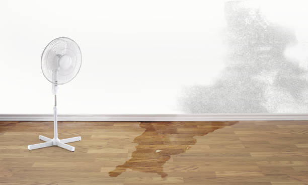  North Browning, MT Water damage restoration Pros