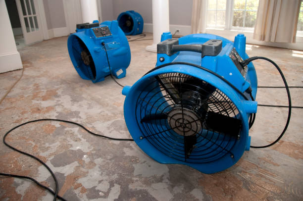 Best Carpet water damage restoration  in North Browning, MT