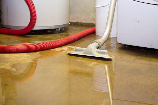 Best 24/7 water damage repair  in North Browning, MT