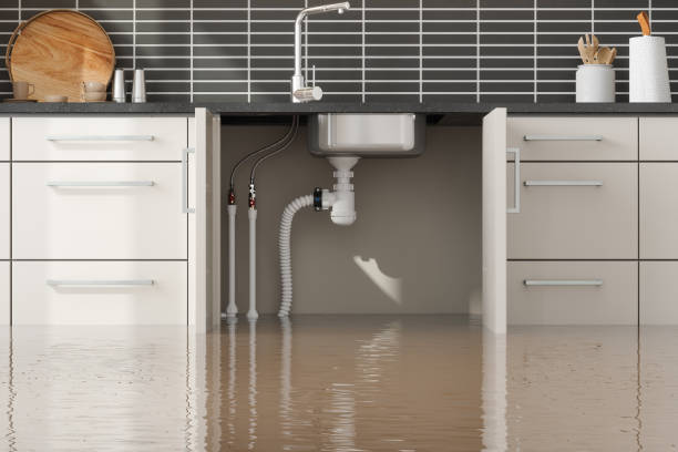 Best Flood restoration services  in North Browning, MT
